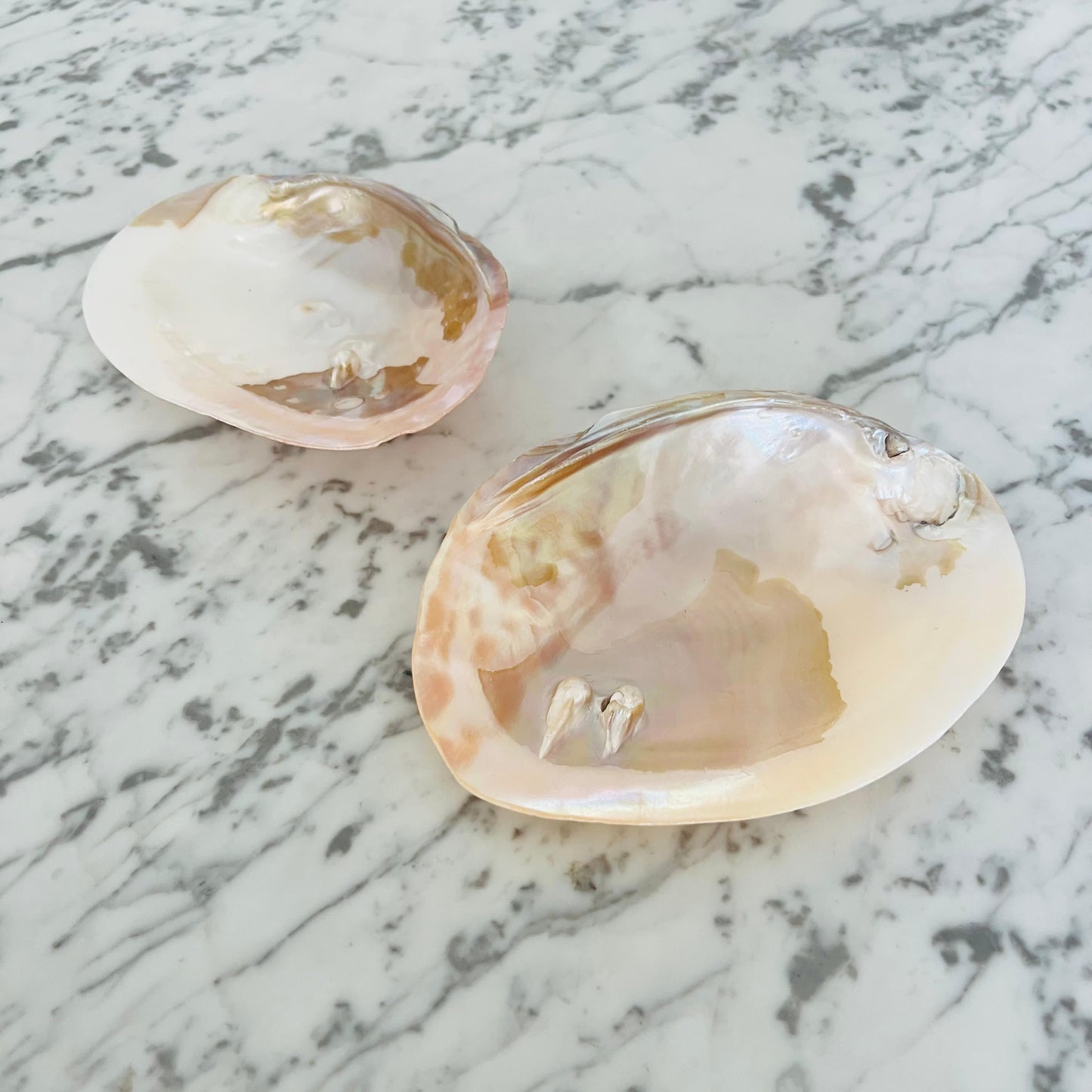 Mother Of Pearl Dish