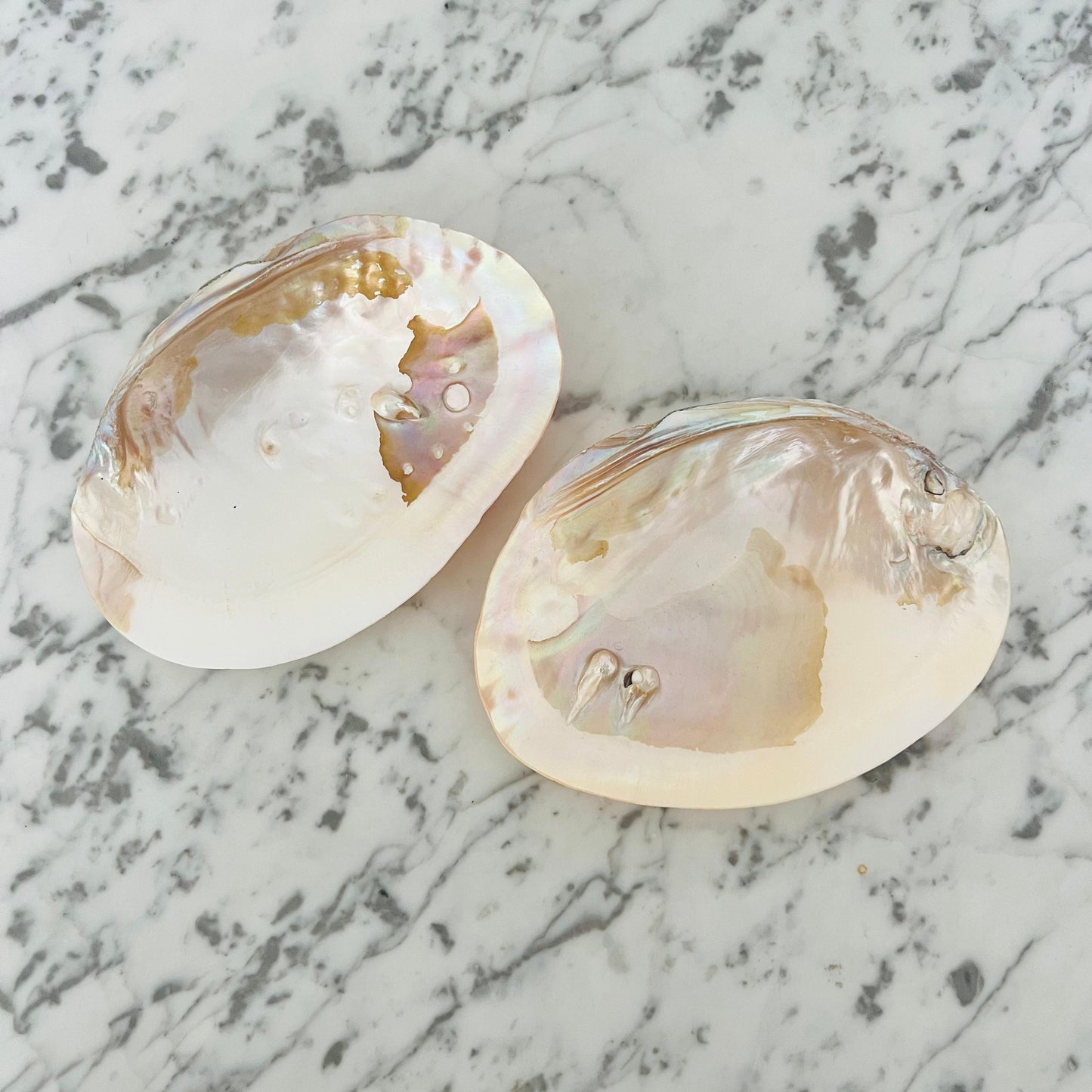 Mother Of Pearl Dish