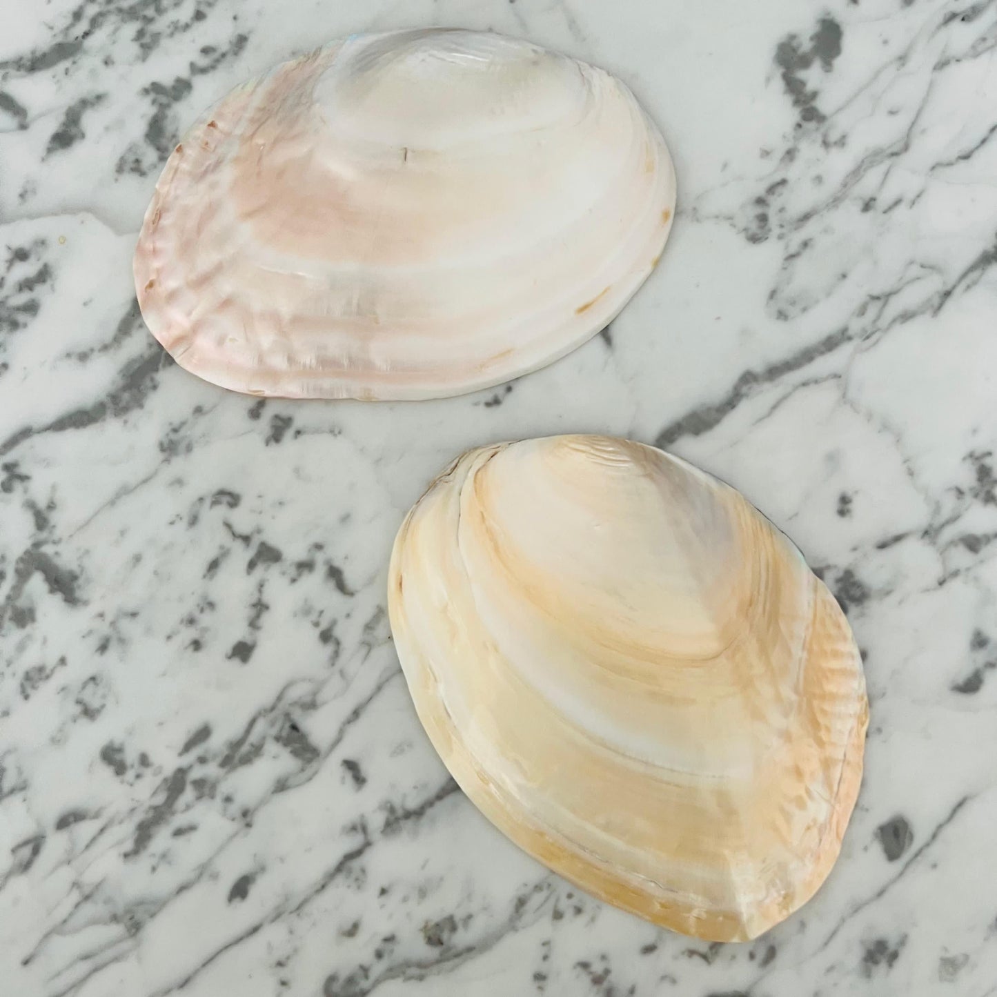 Mother Of Pearl Dish