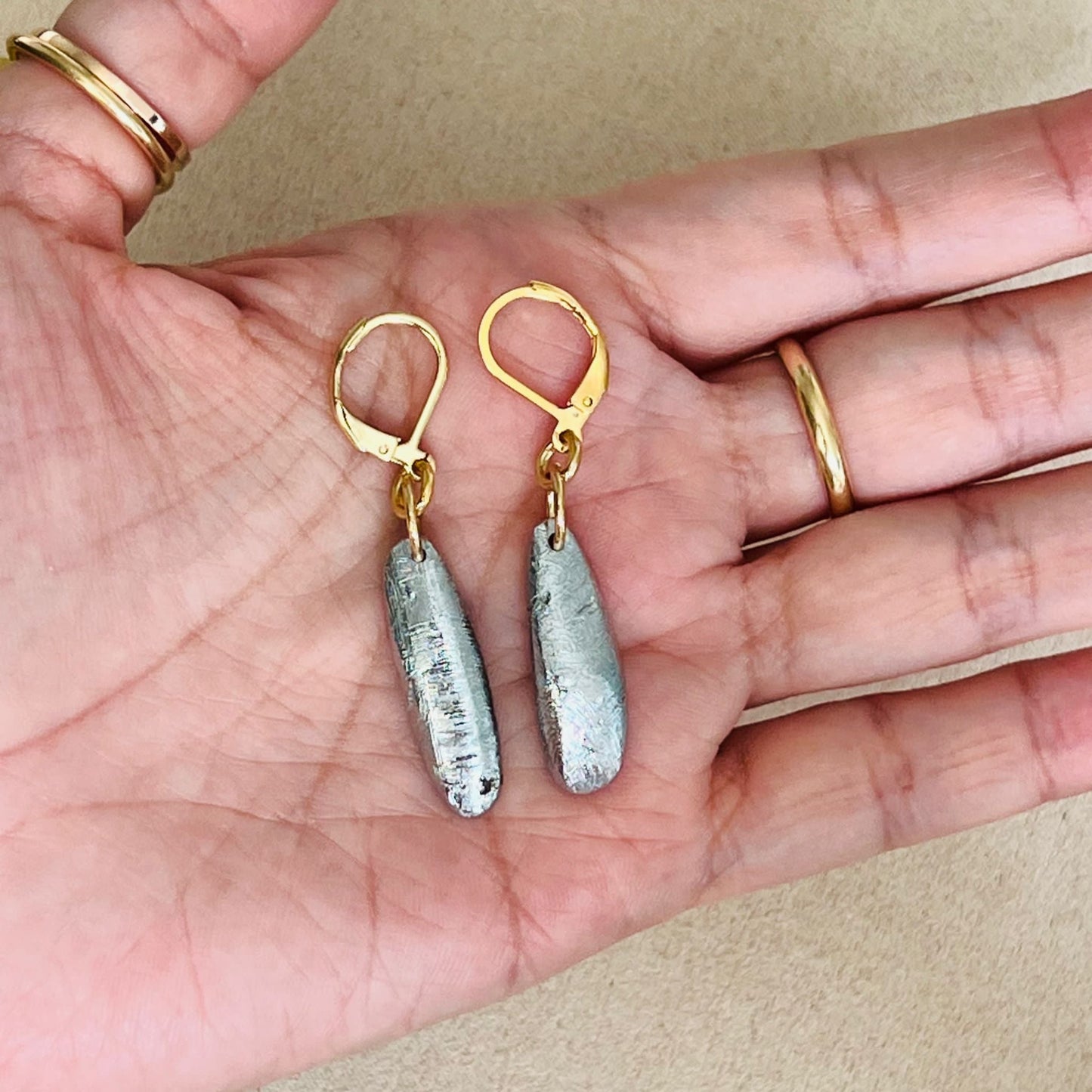 Meteorite Earrings - Long