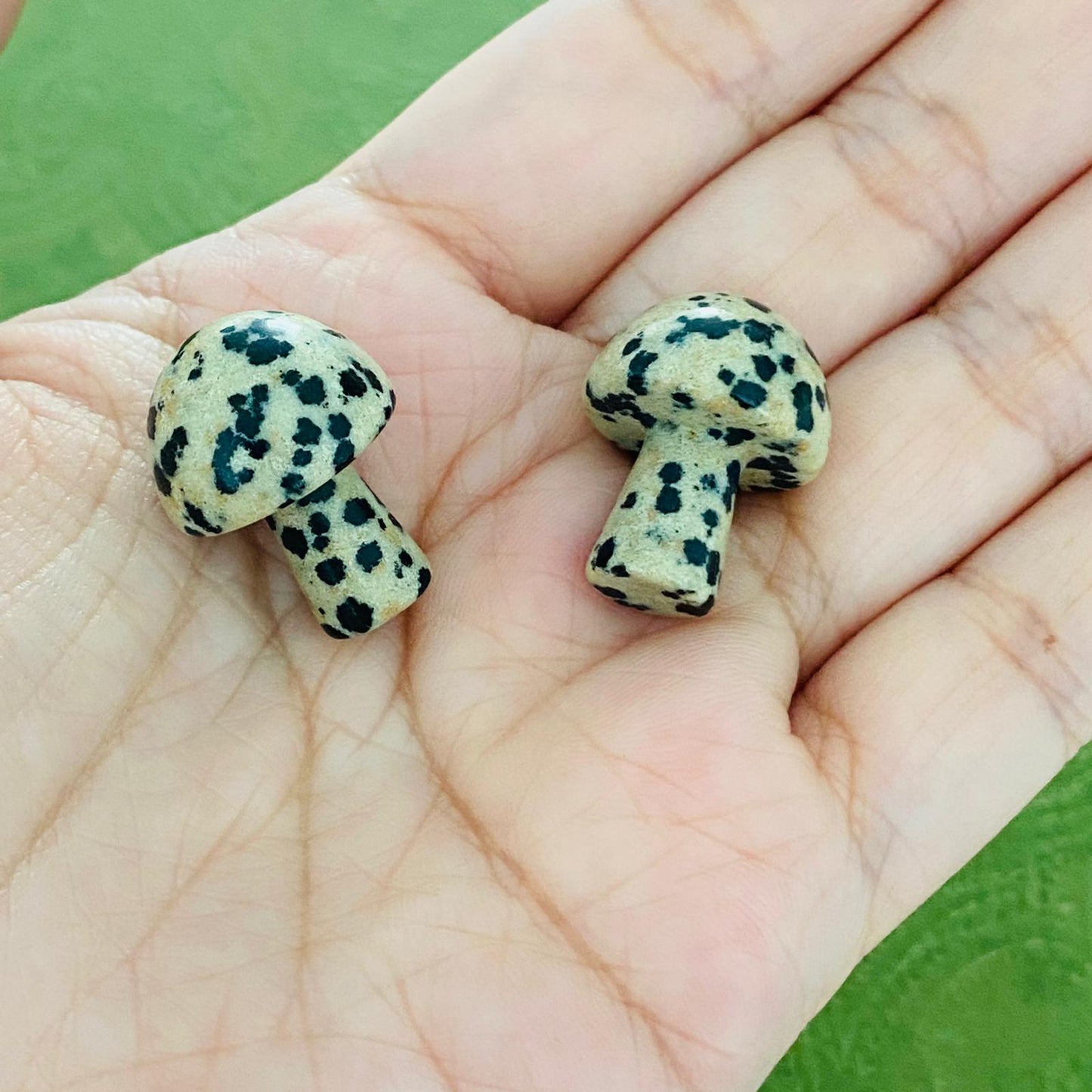 Dalmatian Jasper Crystal Mushroom