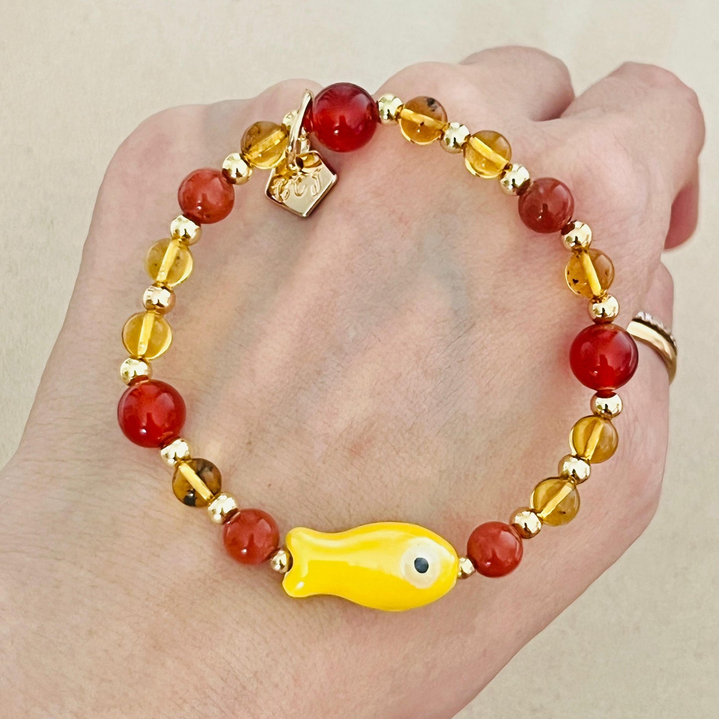 Blue Amber & South Red Agate Money Fish Bracelet 🐟