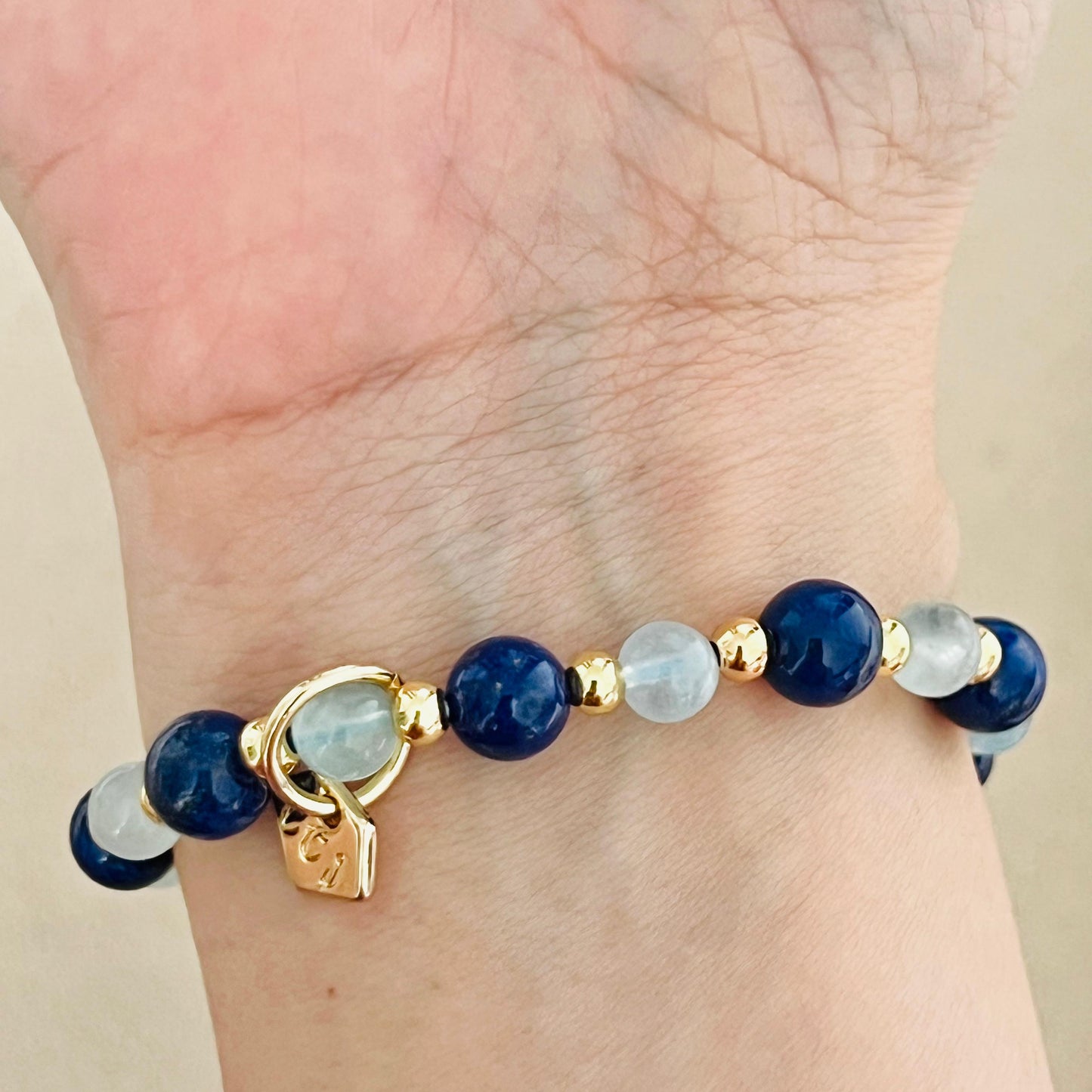 Aquamarine & Lapis Lazuli Money Fish Bracelet 🐟